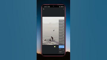 Make images look DRAMATIC in SNAPSEED | SNAPSEED TUTORIAL | Android | iphone | #youtubeshort #short