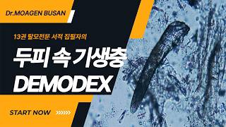 두피 내 존재하는 기생충 DEMODEX #닥터모아젠