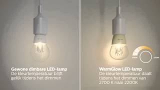 Maak kennis met Philips WarmGlow LED-lampen screenshot 1