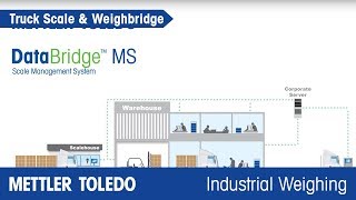 DataBridge™ MS Hệ thống Quản lý Cân xe - METTLER TOLEDO Industrial - vi