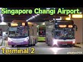 Buses at changi airport terminal 2 singapore 2023