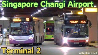 Buses at Changi Airport Terminal 2, Singapore 2023