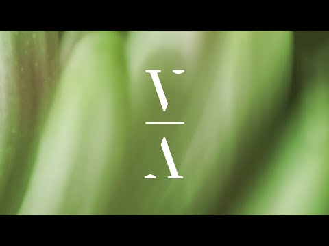 MYRNE - Light Through The Leaves