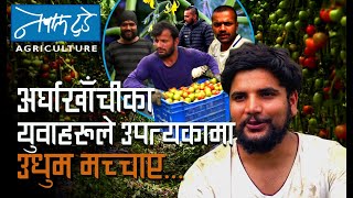 अर्घाखाँचीका युवाहरुले उपत्यकामा उधुम मच्चाए...[ The Nepal today ] Agriculture in Nepal.