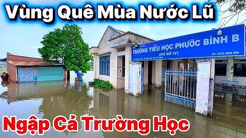 Khám Phá Con Đường Nước Lũ Sông Vàm Cỏ Đông Tràn Vào Ngập Cả Trường Học Vùng Quê Tây Ninh