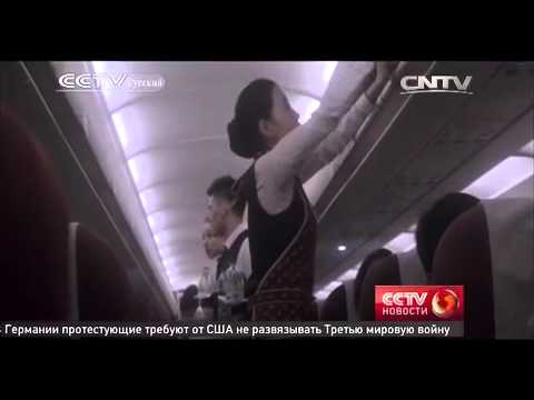 С чемоданом на экспорт