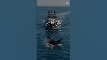 وبشر الصابرين الذين اذا اصابتهم مصيبة🥺#قرآن #يارب #تلاوة_خاشعة #ارح_قلبك #متابعه