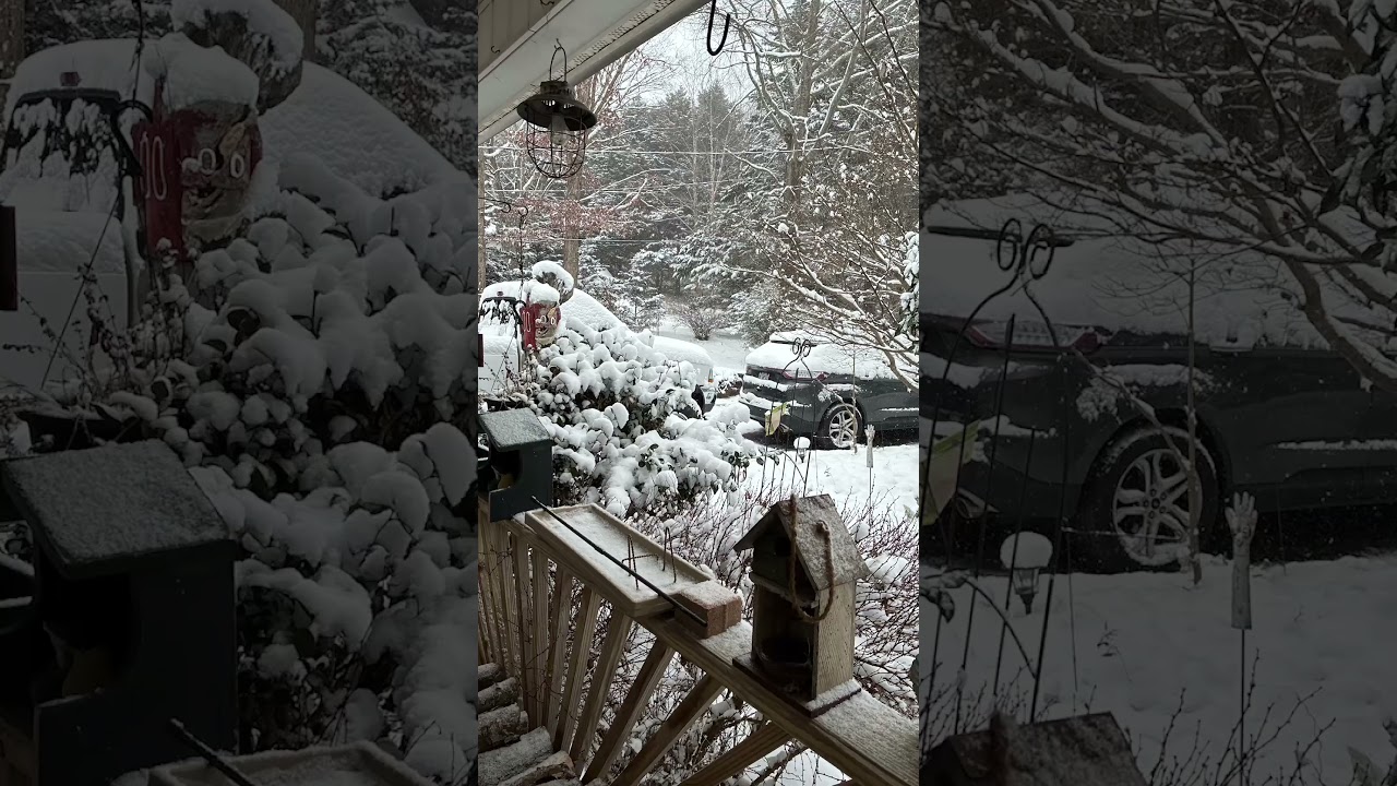 Hurry up Springtime! No mo snow!!!  