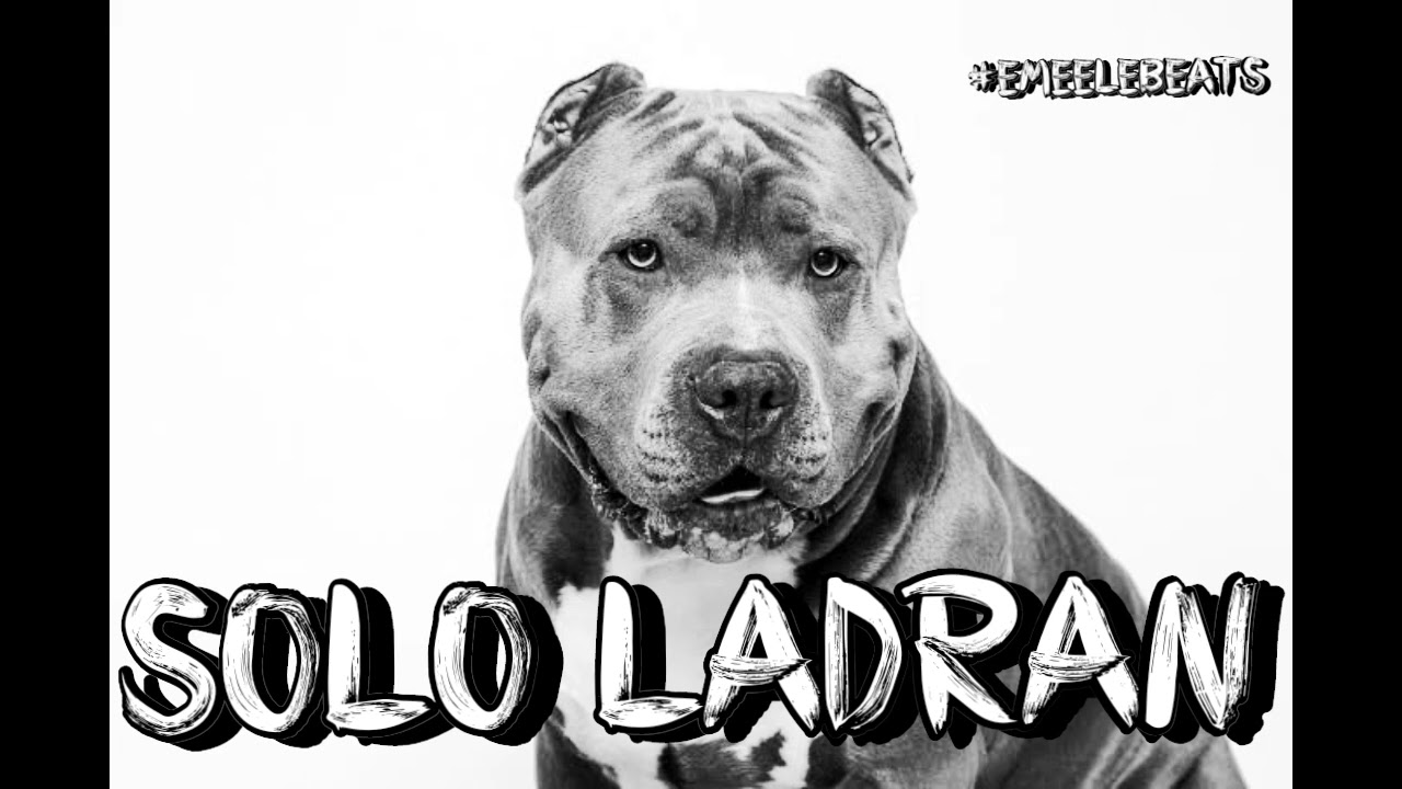 Base de Rap Free 2025 