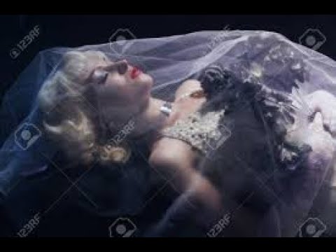 Мертвая принцесса песня. Мёртвая принцесса sagath клип. Мертвая принцесса песня. Мертвая принцесса песня. Мёртвая принцесса sagath клип.