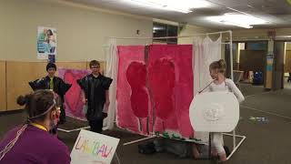 IMG 5931 IMG 5931