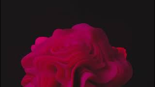 Rainbow Kitten Surprise - It's Called: Freefall (Yakiruzo Remix)