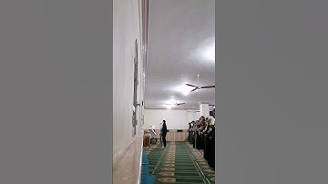 الشيخ حازم ياسر ما تيسر من سورة الصافات فراغ الى الهتهم فقال الا تاكلون