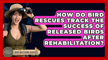 How Do Bird Rescues Track The Success Of Released Birds After Rehabilitation?