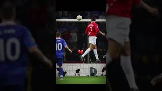 Ronaldo X Cat Credits For The Photo