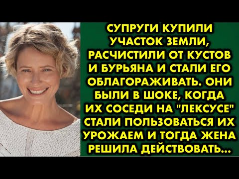 Супруги купили участок