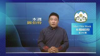 《本週圖伯特》第 493 期 2026 年 7 月 31 日 Tibet This Week: Chinese