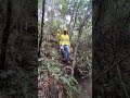 sucribete