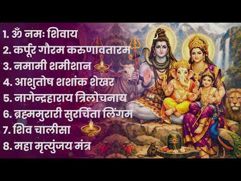 भक्ति भजन - आशुतोष शशाँक शेखर, कर्पूर गौरम करुणावतारं, ॐ नमः शिवाय,  शिव अमृतवाणी व शिव आरती