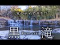 116.冬の【黒滝】三木市 三木のナイアガラと称される幅30mの滝を見に、日本酒で有名な山田錦の郷から愛犬と徒歩15分!想像と少し違いました(汗)