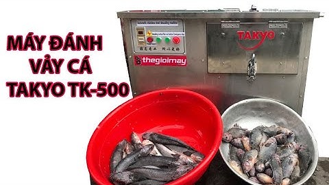 làm sạch vảy cá rô phi và rô đồng bằng máy đánh vảy cá takyo tk500 | video đánh vảy cá giao khách
