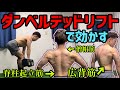 【知らないと損】ダンベルデッドリフトの正しいやり方で背筋を追い込む