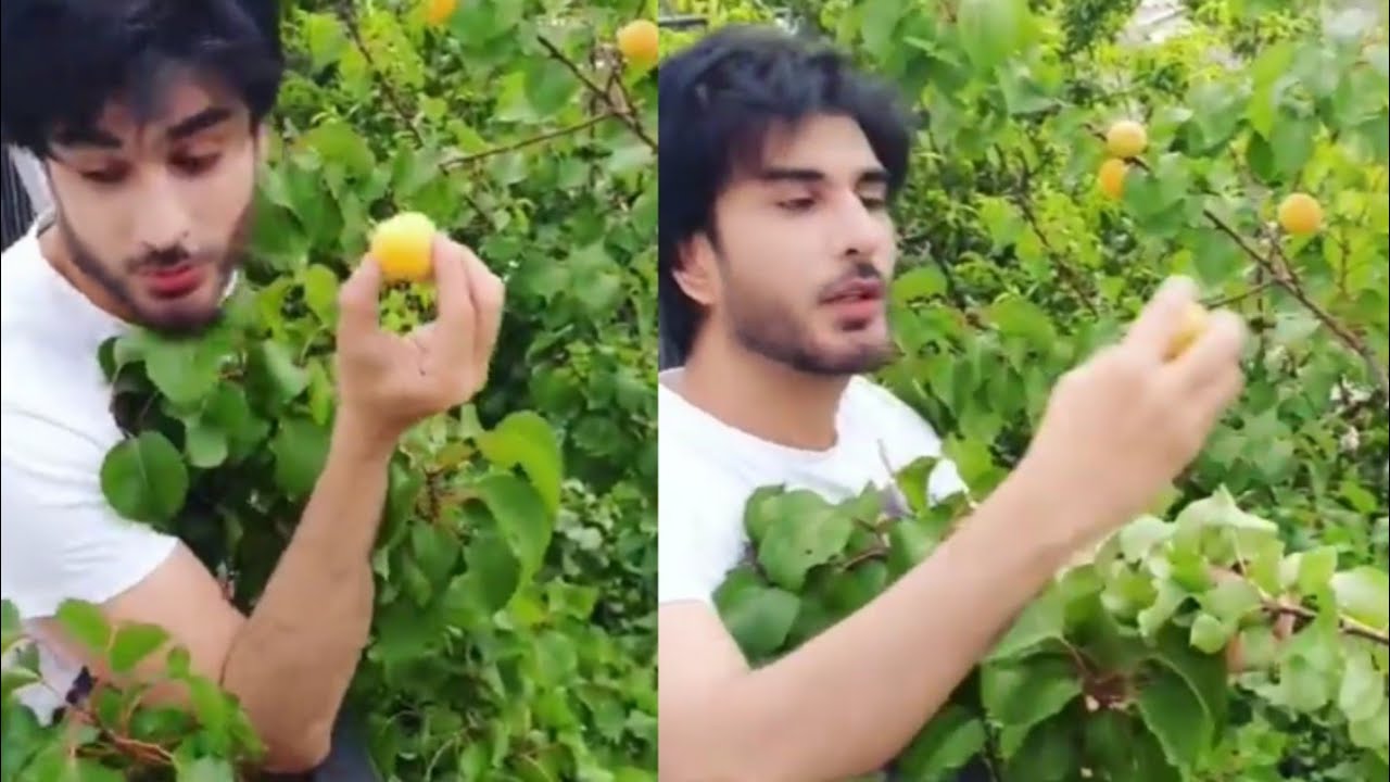Imran Abbas Show His Home Outside View | Beautiful tress