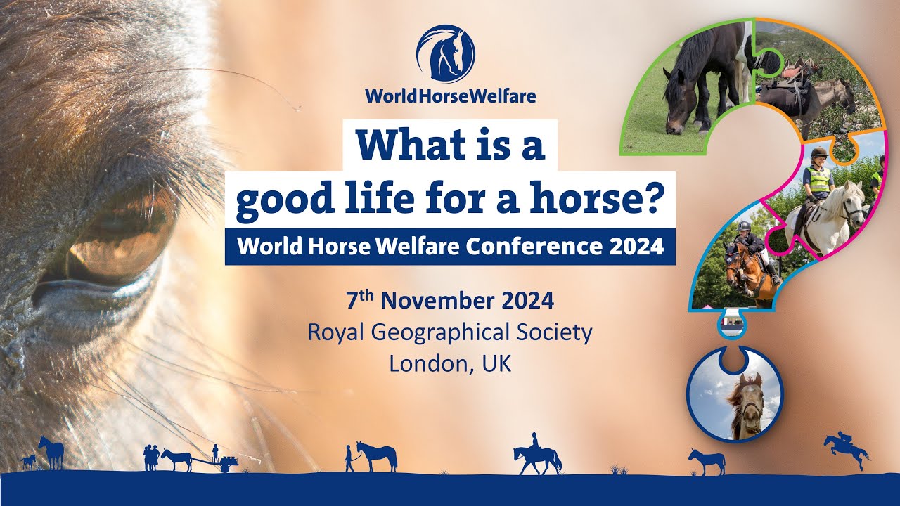 World Horse Welfare Conference 2024 - ‘What is a good life for a horse ...