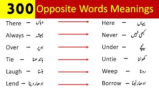 300 Opposite English Words Meanings in Urdu | Antonyms For Exams Preparation | Vocabineer