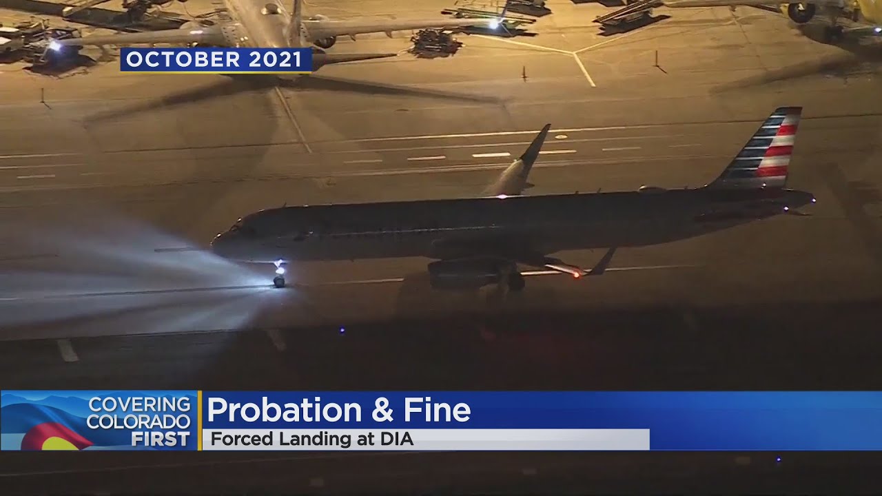 Brian hsu pleads guilty to attacking flight attendant sentenced to