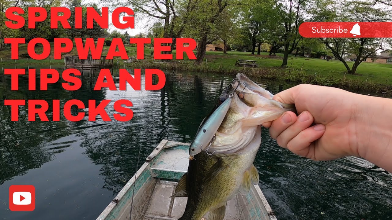 Top water Bass Fishing tips and tricks YouTube