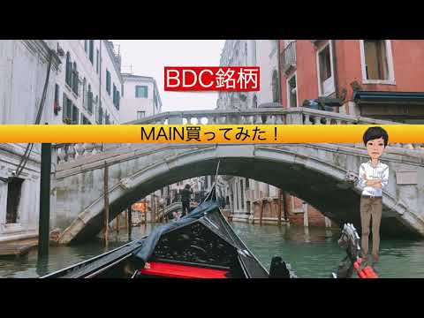 【BDC銘柄に投資してみた】MAINはどんな銘柄？