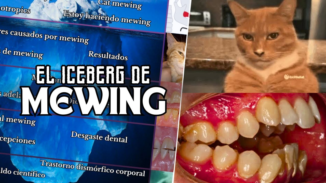 El ICEBERG Del MEWING
