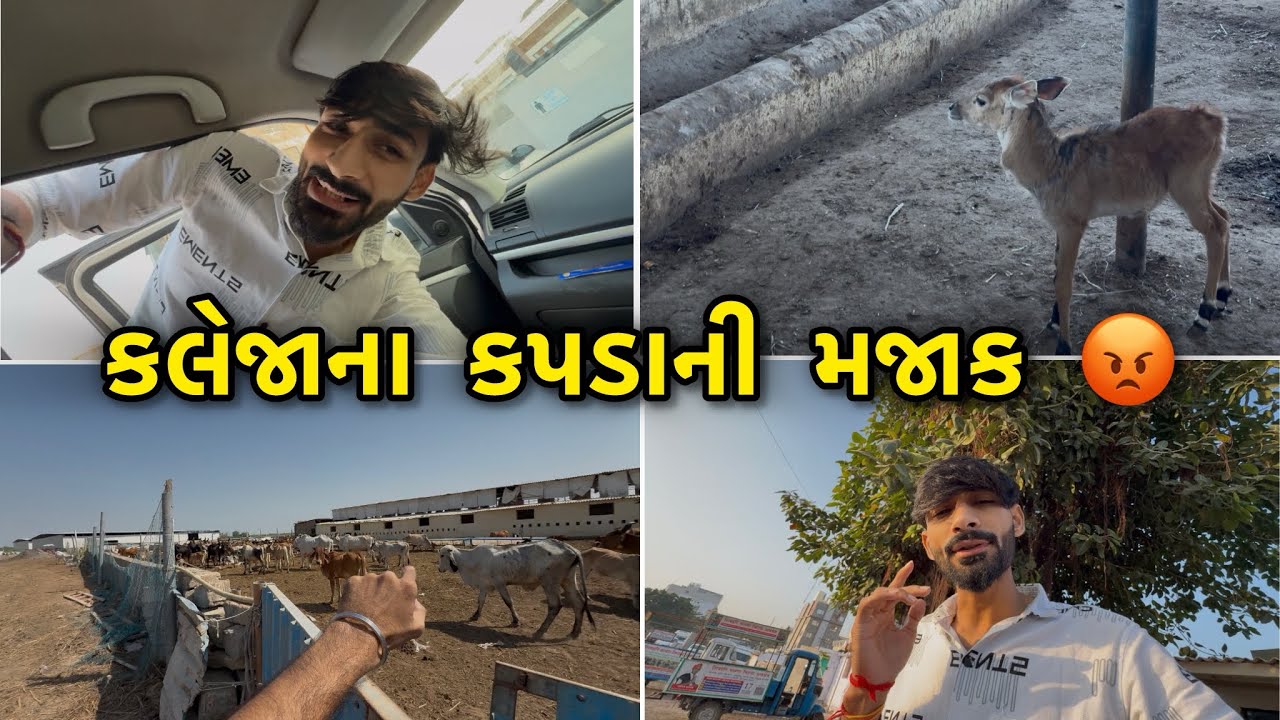મારા કલેજા મેન્સવેરની મજાક જરાઈ સહન નહીં થાય 😝 