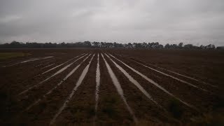 Taking Back the Land: Sowing the Seeds through Generations