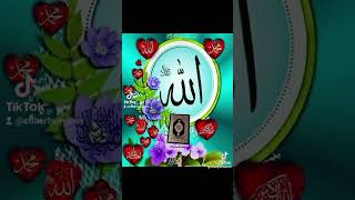 Allaha Aid Videolar