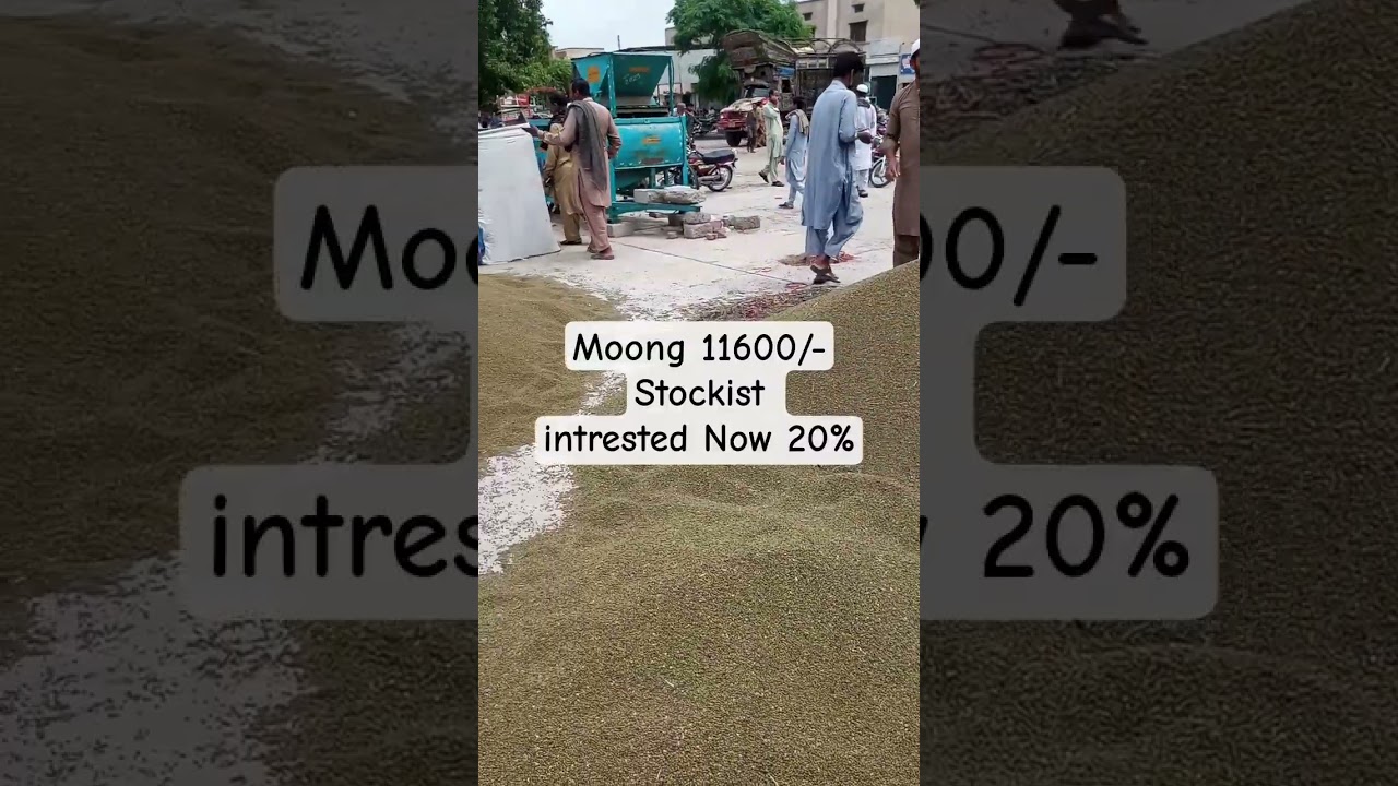 September 2, 2025 Moong rate today l open boli piplan