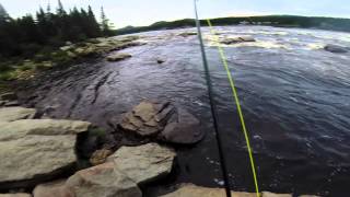 Eagle River , Labrador , Atlantic salmon , Fly fishing Newfoundland