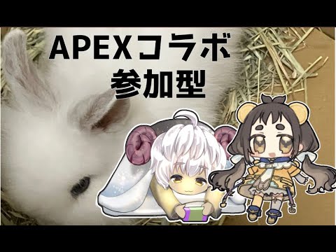 【Apex】ワイルドカード参加型　たくあんさんと