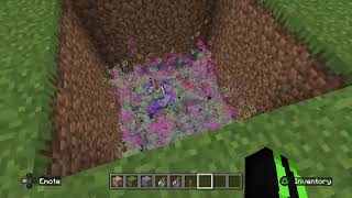 Silver Fish Mining