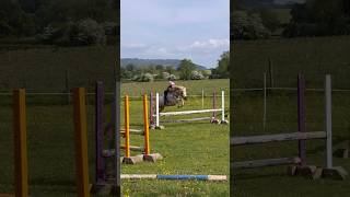 Bareback Pad Jumping Mini Ace Trev