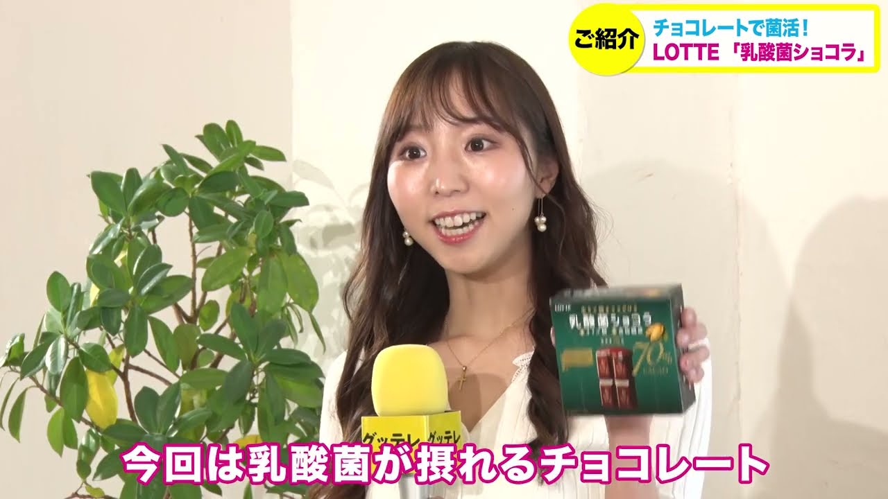乳酸菌ショコラ お口の恋人 ロッテ