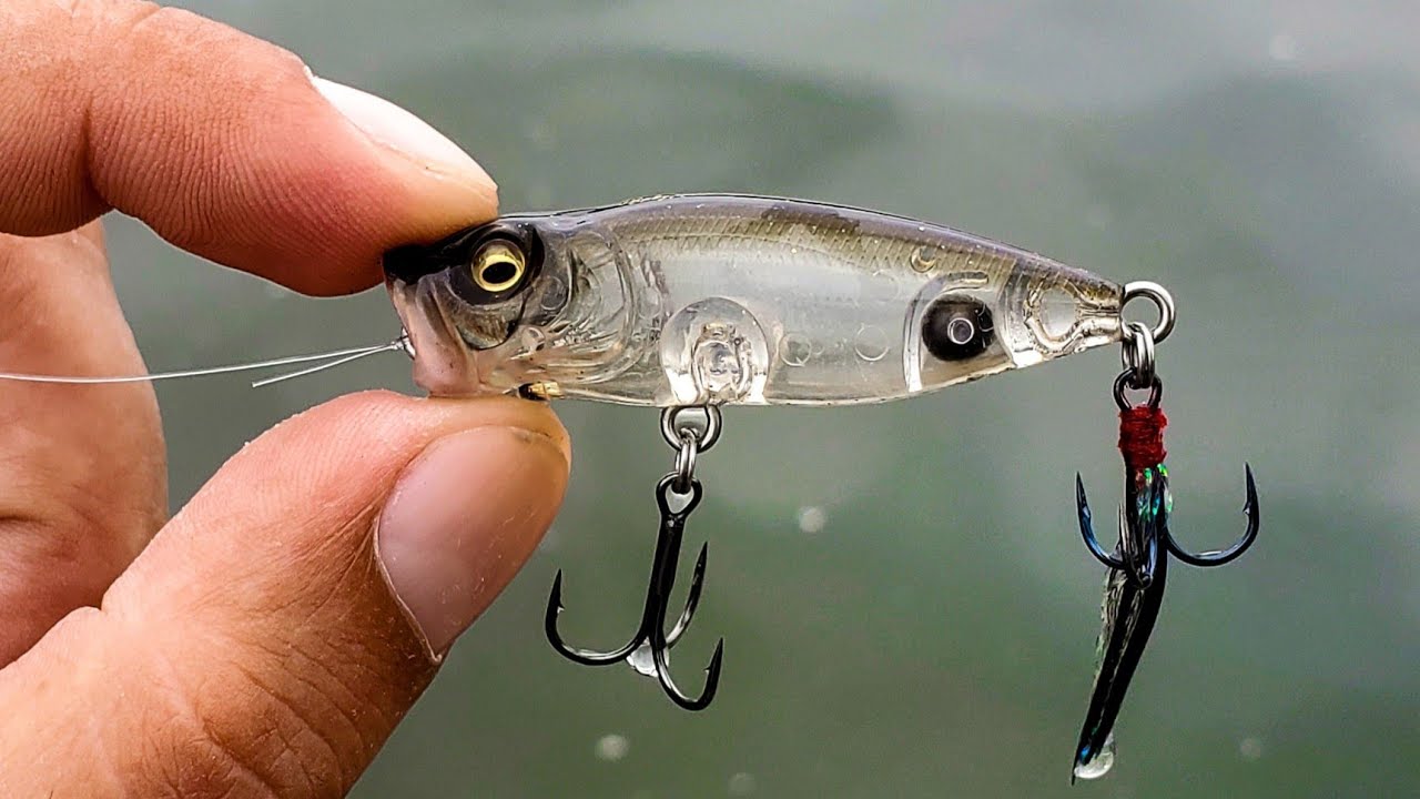 メガバスPOPX.MAX.BABY SG SMALL MOUTH BASS SG Smallmouth Bass Megabass Respect Color 80 — Lake Pro Tackle