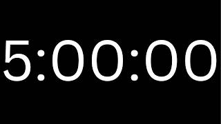 5 Hour Timer with Alarm ⏰ 300 Minute Countdown Timer