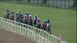 Vidéo de la course PMU KUDA GOLD BRACELET