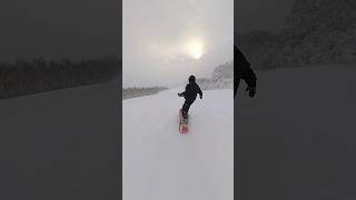 コース内朝イチの腰パウがたまらない #japow #スノーボード #snowboarding #腰パウ #横に乗る