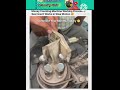MONEY COUNTING MACHINE 😱😳#machine #sorts 😲😲#machine #money