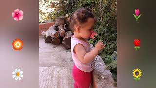 Ayrılık Çiçeği Ervasel