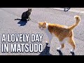 Quiet neighborhoods, street cats, and more in Matsudo (1080p HD) | JAPAN LIVESTREAMS 2021
