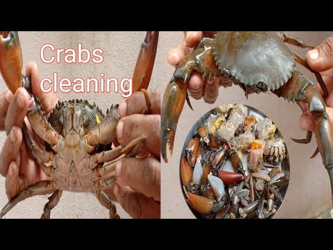 Crabs cleaning | peethalu cleaning in telugu | పీతలను శుభ్రం చేయుట | teluginti vantalu